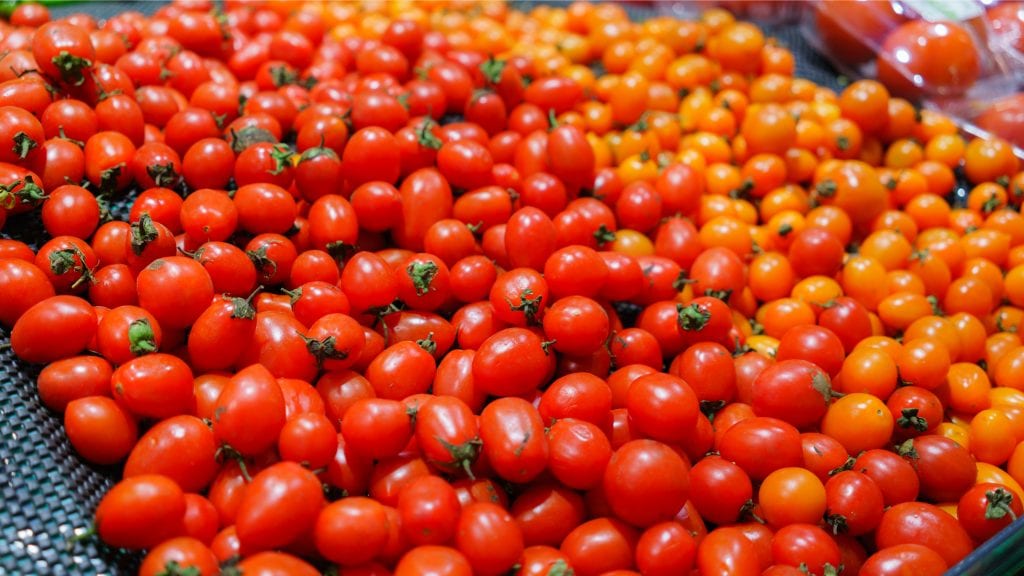 Featured image for “Tomatoes Fetching Strong Prices ”